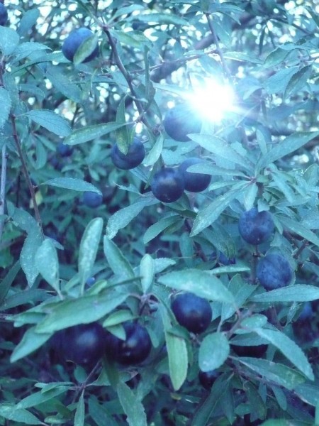 p1020774